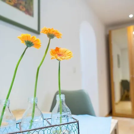 Gæstehus Strandpension Maeder 4*