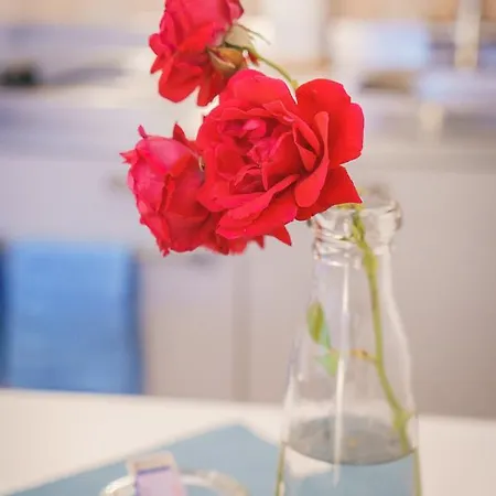 Strandpension Maeder 4*